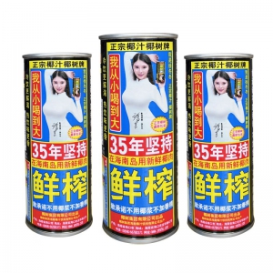 椰树椰汁 听装  245ml 24听/件